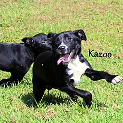 Thumbnail photo of Kazoo ~ meet me! #3