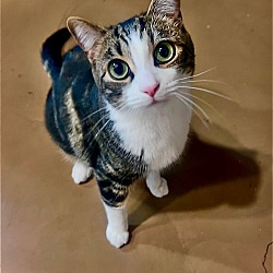 Photo of Shelby