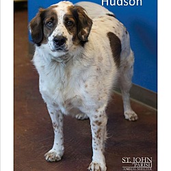Thumbnail photo of Hudson #2