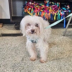 Photo of Casper