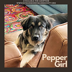 Photo of Pepper Girl