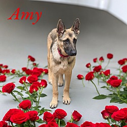 Thumbnail photo of Amy #1