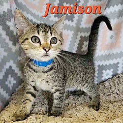 Thumbnail photo of Jamison #1