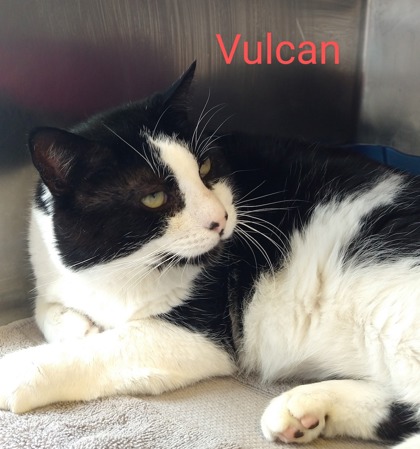 Photo of Vulcan