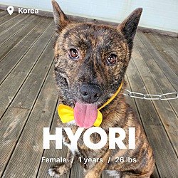 Photo of Hyori