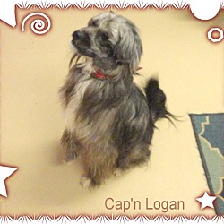 Thumbnail photo of Cap'n Logan #2