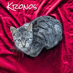 Photo of Kronos