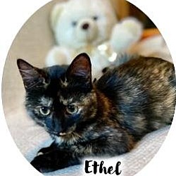 Thumbnail photo of Ethel #3