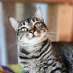 Photo of Candy