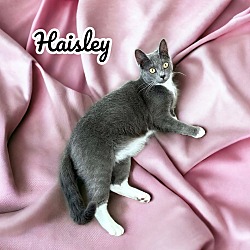 Photo of Haisley