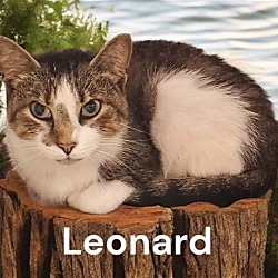 Photo of Leonard