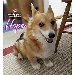 Photo of Hope