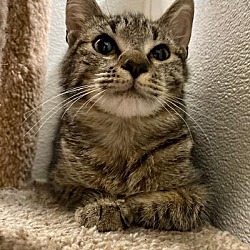 Photo of Maya