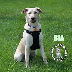 Thumbnail photo of Bia #3