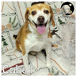 Thumbnail photo of Cabell #1