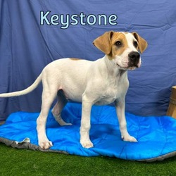 Photo of Keystone