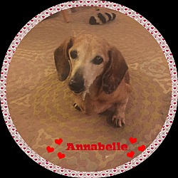 Thumbnail photo of Annabelle #3