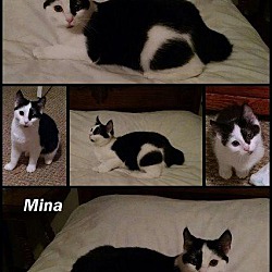 Photo of Mina