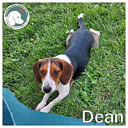 Photo of Dean