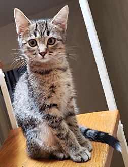 Dimitri