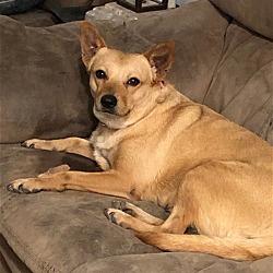 Thumbnail photo of Addie #3