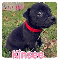Photo of Kinsee