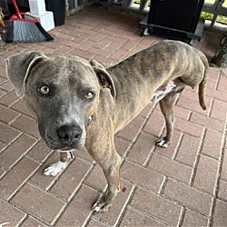 Photo of Clyde