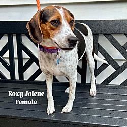 Photo of Roxy Jolene