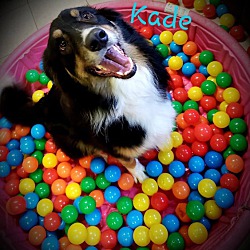 Thumbnail photo of Kade #1