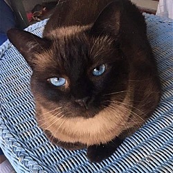 Photo of Misha