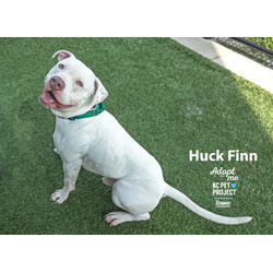 Thumbnail photo of Huck Finn #2