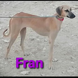 Photo of Fran
