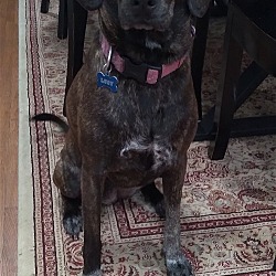Photo of Lucy