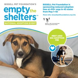 Thumbnail photo of Aris - $50 Bissell Sponsored Adoption Fee! #2