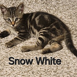 Thumbnail photo of Snow White #1