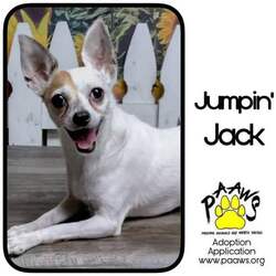Photo of Jumpin Jack'