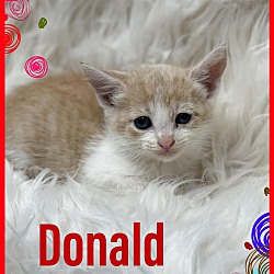 Photo of Donald