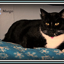Thumbnail photo of Margo #3