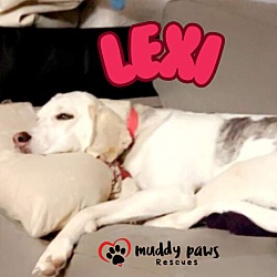 Thumbnail photo of Lexi (Courtesy Post) #4