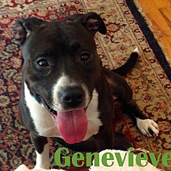 Thumbnail photo of Genevieve #1