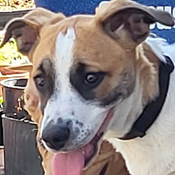 Photo of Kratos