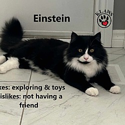 Photo of Einstein