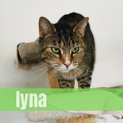 Thumbnail photo of Iyna #1