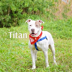 Thumbnail photo of Titan #2