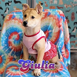 Photo of Giulia