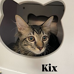 Photo of Kix