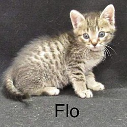 Photo of Flo
