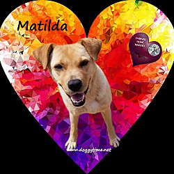 Thumbnail photo of Matilda #1