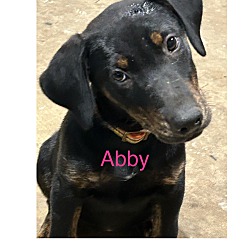 Photo of Abby ~ meet me!