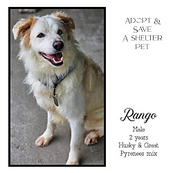 Photo of Rango